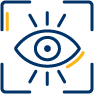 vision